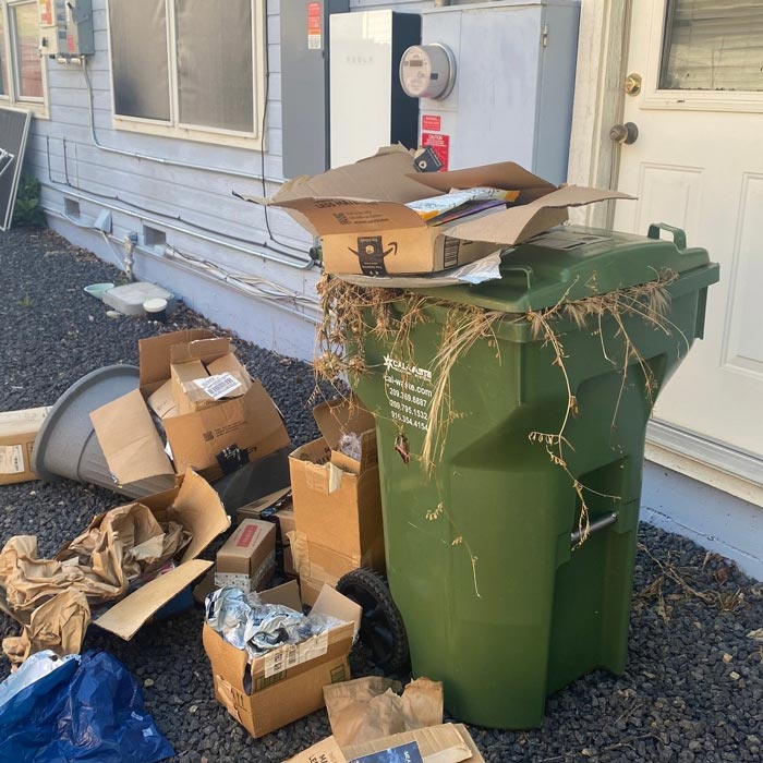 TCSO package theft 1