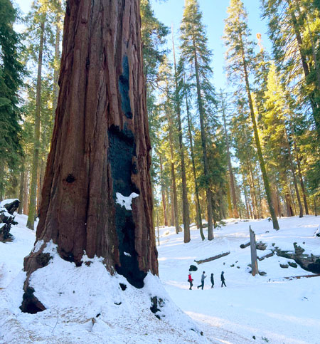 nps winter weather Sequoia and Kings Canyon National Park