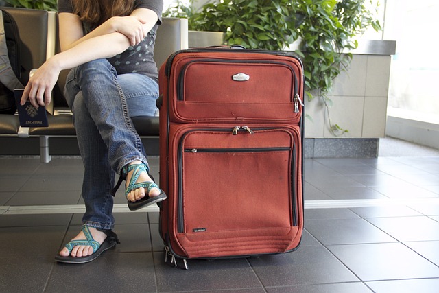 luggage travel 778338 640
