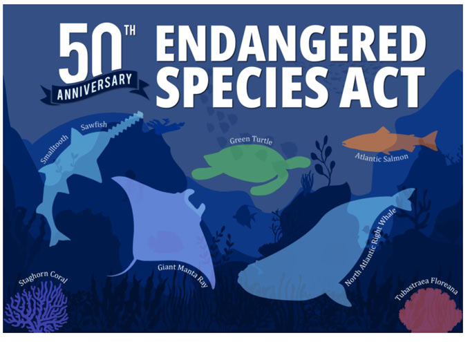 noaa fisheries 50th anniversary of the Endangered Species Act