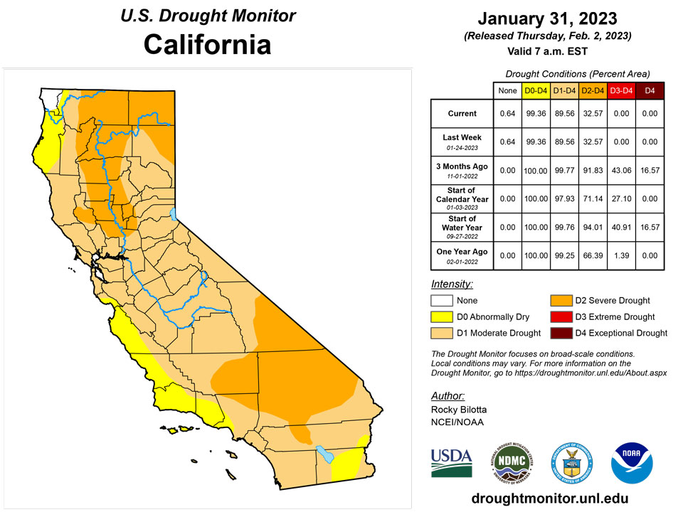 ca20230131 ca trd