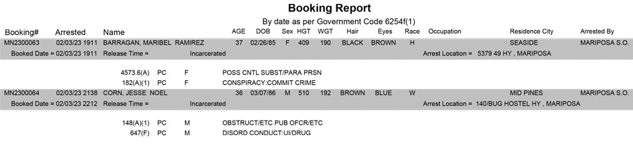 mariposa county booking report for february 3 2023