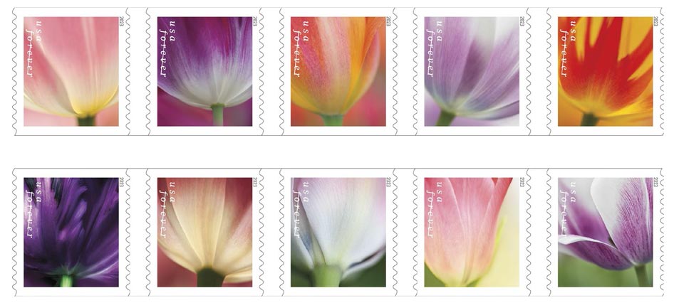 usps tulips blossom on new forever stamps 1