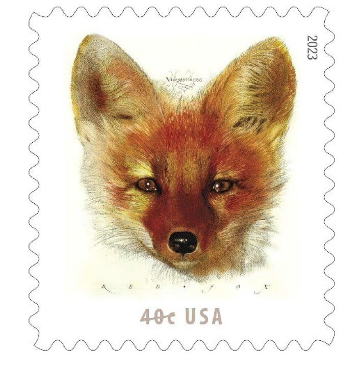 usps releases 40 cent stamp featuring the red fox 1