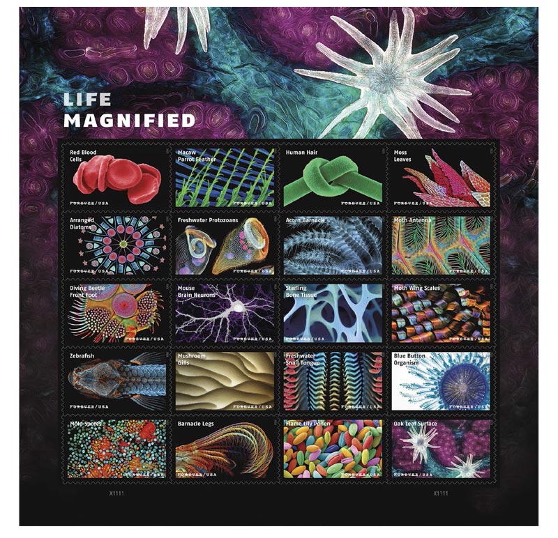 usps postal service to release life magnified stamps 1