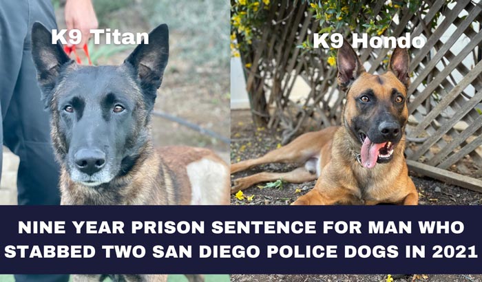 SDPD K9s