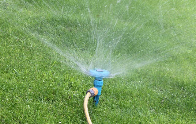 watering1 grass garden gb1e8a9fa0 640