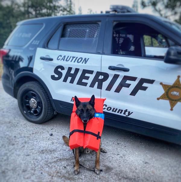 MCSO K9 Arco