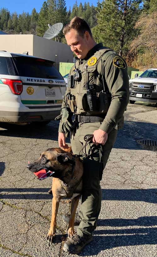 NCSO K9 Apprehension 2