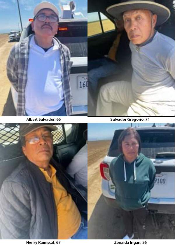 TCSO cockfight arrests