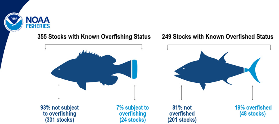 overfished overfishing fish graphic 2022 branded horiz