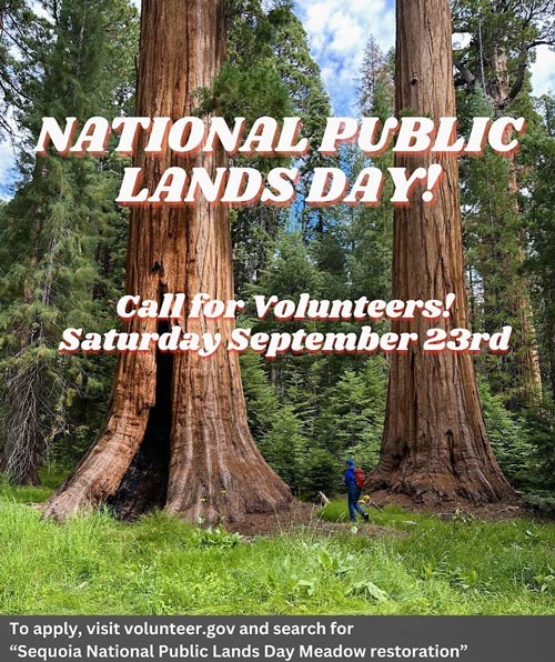 Sequoia National Park to Celebrate the 30th Anniversary of National