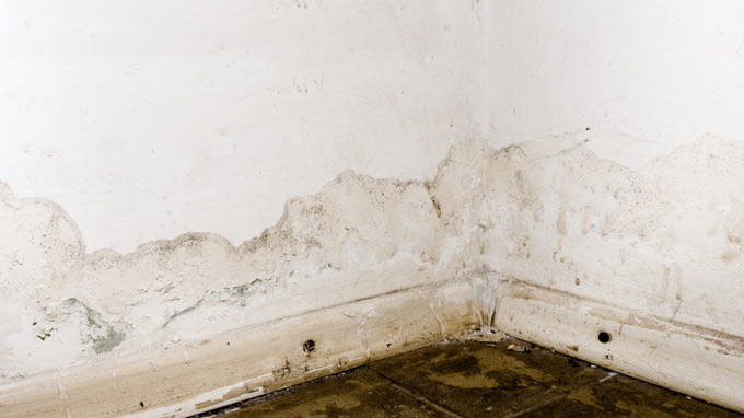 caloes mold 94 flooding rainwater floor heating systems causing damage peeling paint mildew image