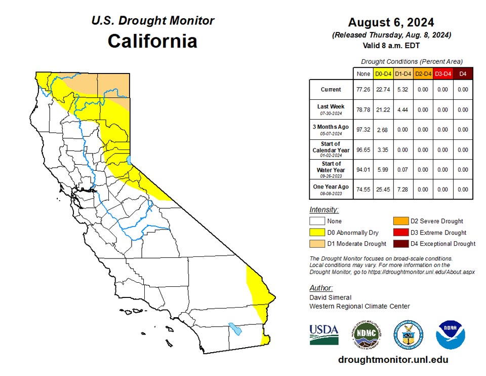 ca20240806 ca trd