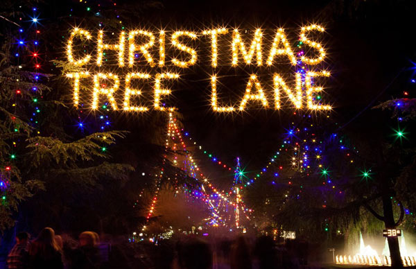 FCSO Christmas tree lane