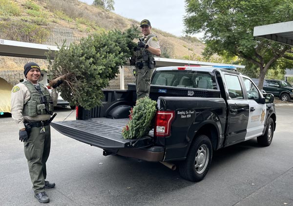 SBSO tree