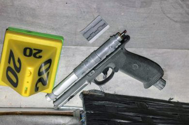 LAPD Franks gun
