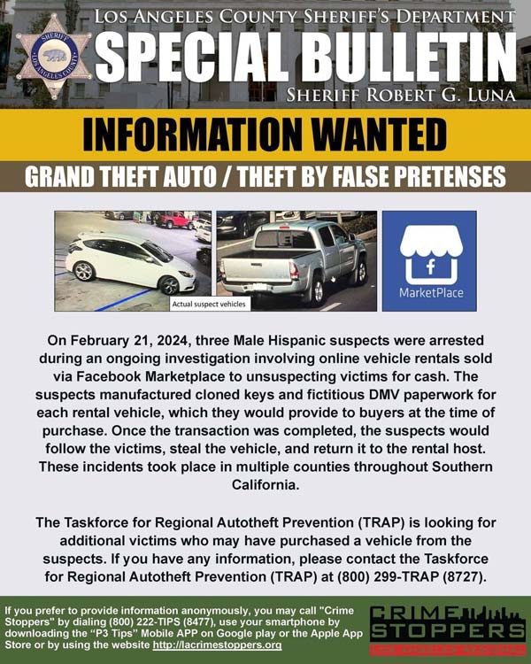 LASD grand theft