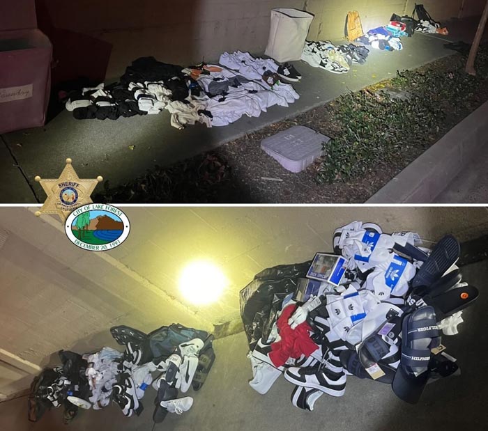 OCSO theft