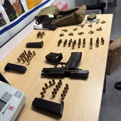 SDPD weapons