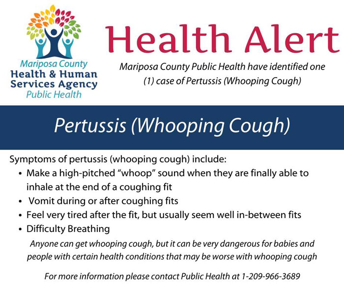 MC whooping cough