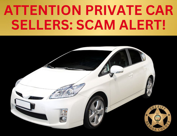 NCSO car scam