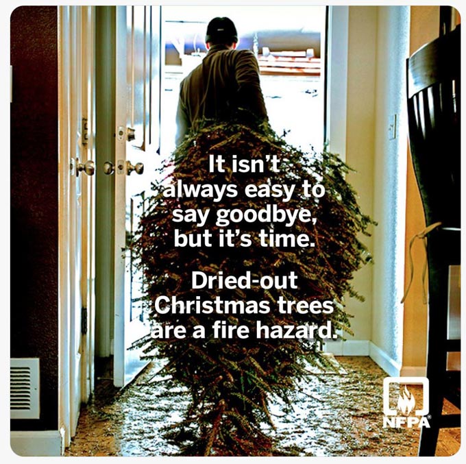 nfpa fires christmas trees