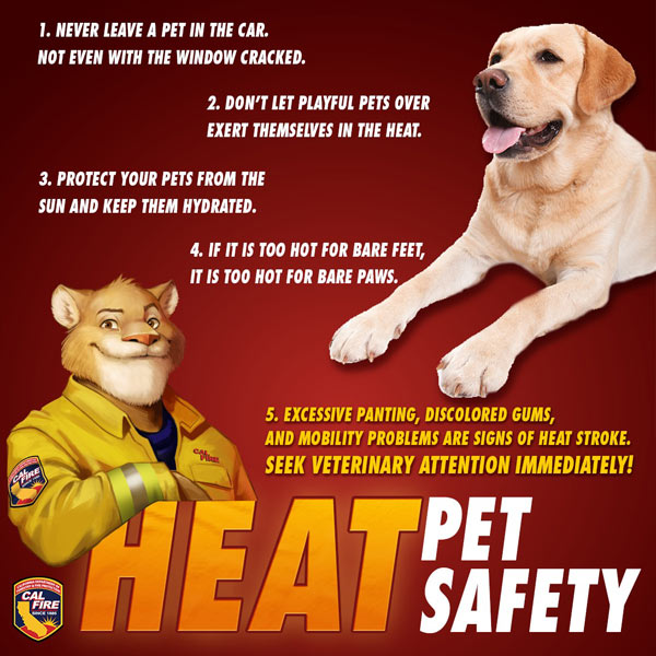CAL FIRE heat and pets