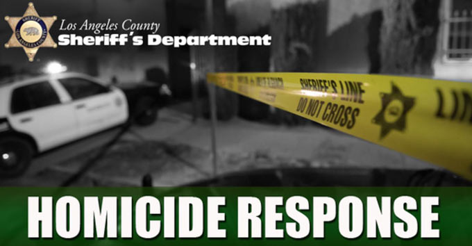 lcsd homicide response graphic