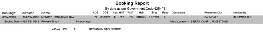 mariposa county booking report for june 3 2024
