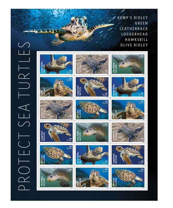 usps sea turtles ride a wave onto new stamps 1