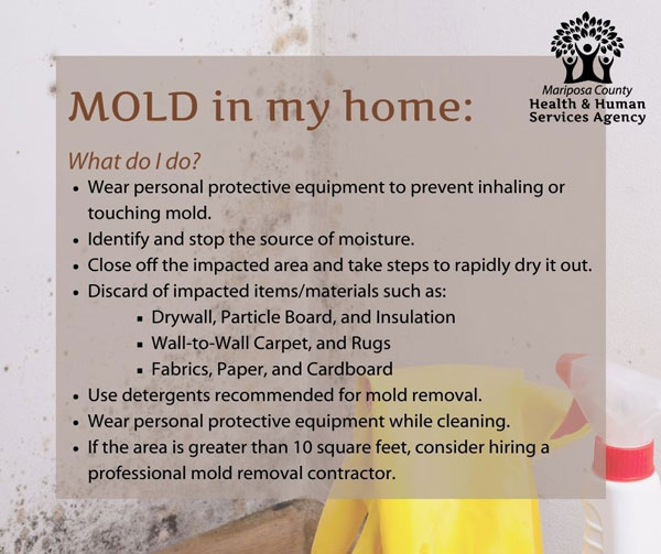 MCHHS mold