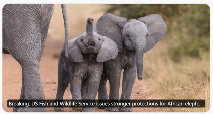 humane society elephants