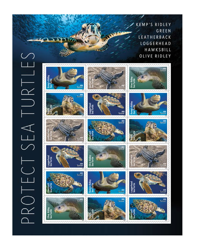 usps makes a splash with new sea turtles stamps 1