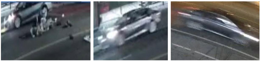LAPD hit n run