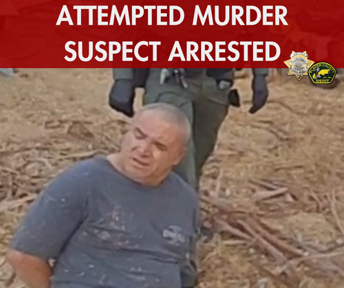 PCSO arrest