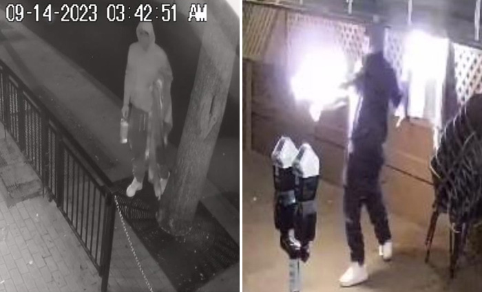 SDPD arson 4