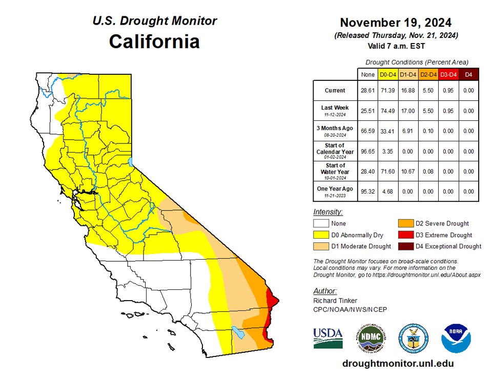 ca20241119 ca trd