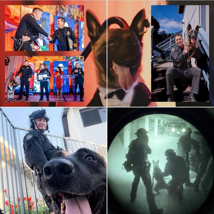 SDPD K9