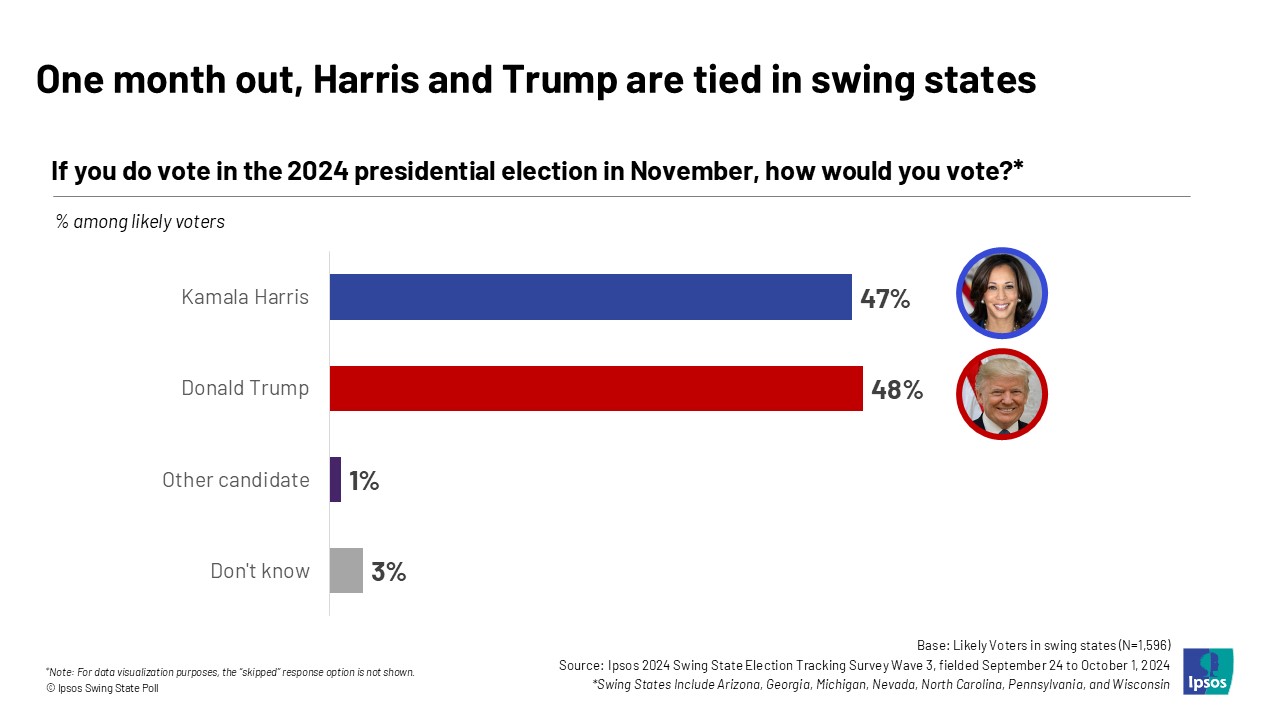 ipsos1004