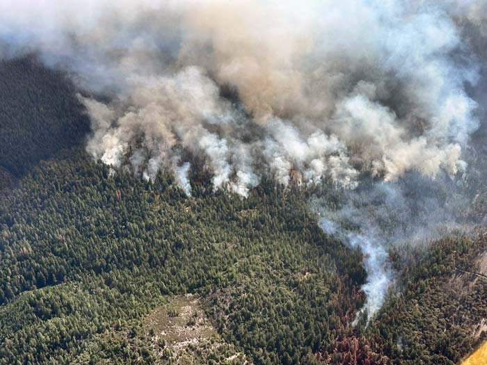 EDSO Crozier Fire