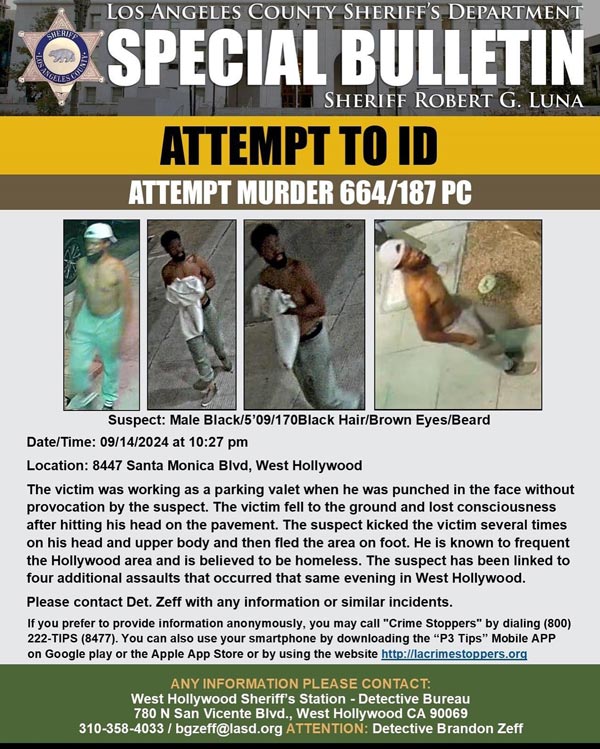 LASD attempt murder