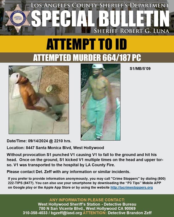 LASD murder ID