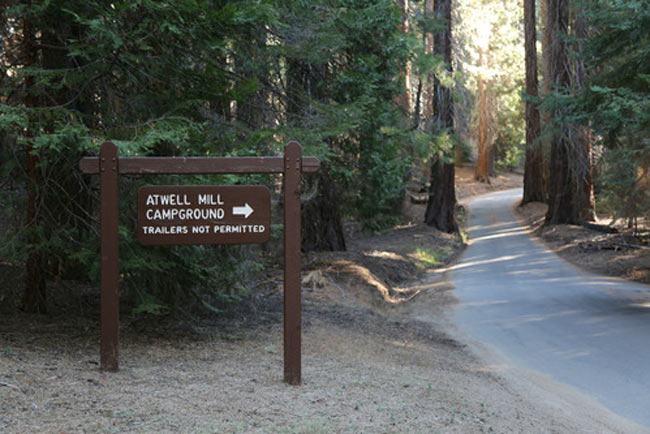 atwell mill campground Sequoia National Park nps