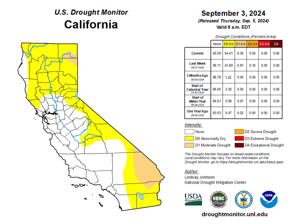 ca20240903 ca trd