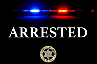 MCSO arrested night 400