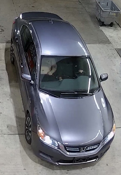 FCSO carjackers 1