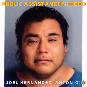Madera SO NOK Joel Hernandez