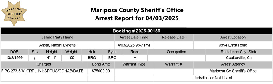 mariposa county booking report for april 3 2025