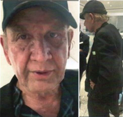 LAPD missing Hamid